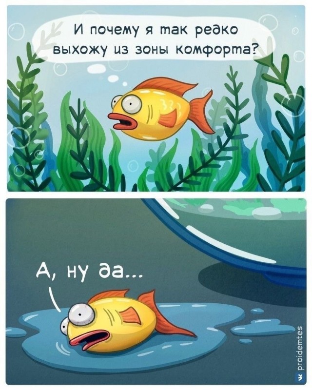 Картинки для деградации 224 (разной степени свежести)