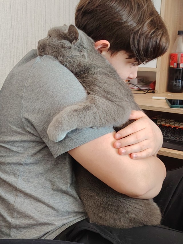 Очередной котовторник
