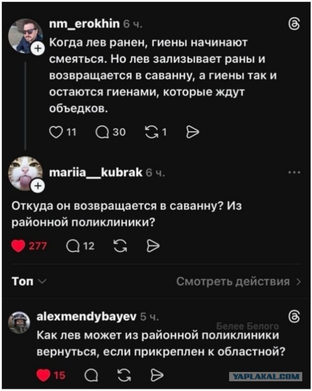 Картинки для деградации 283 (разной степени свежести)