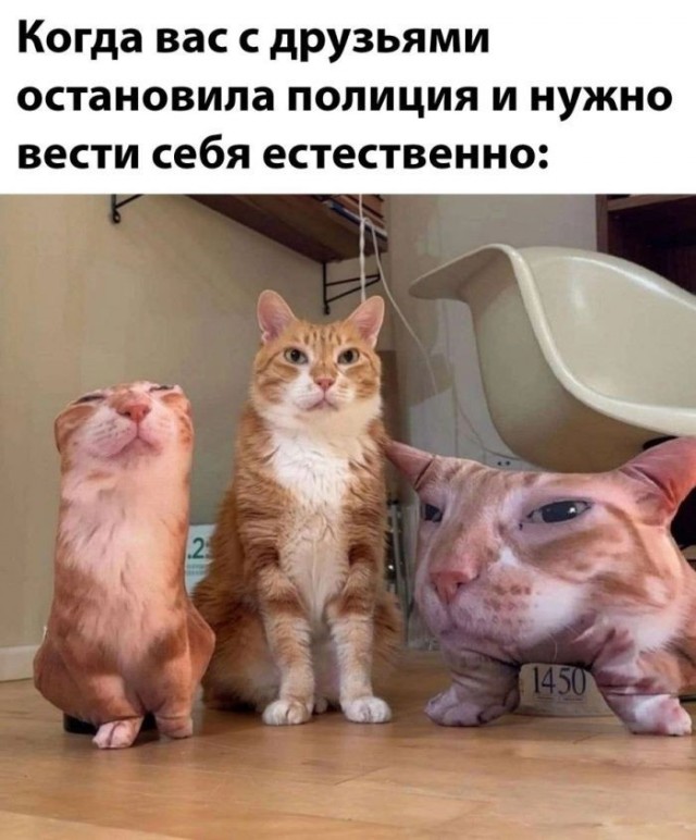 Пятничные бояны