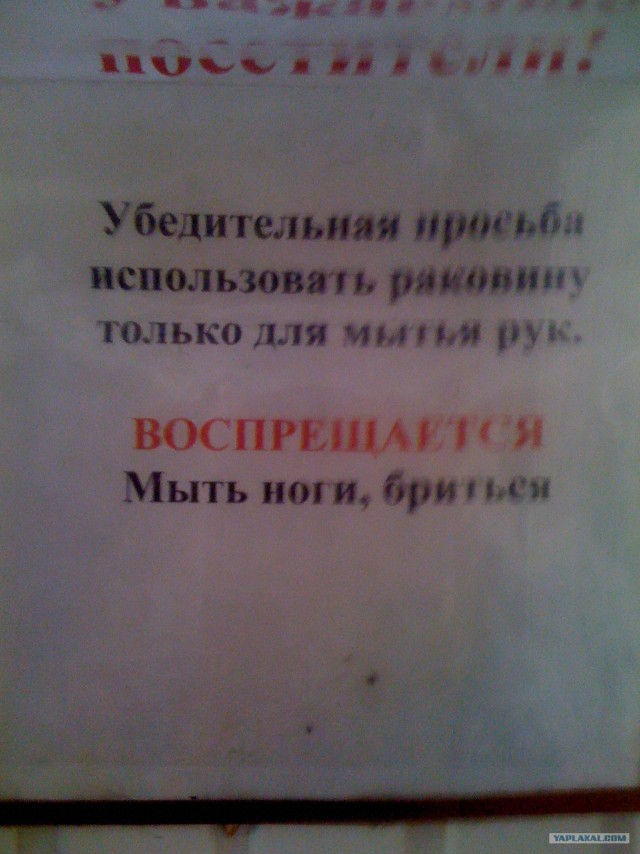 Что мы видим вокруг себя
