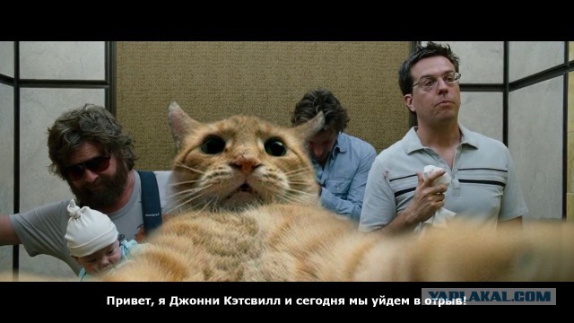 Джонни Кэтсвилл