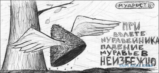 Почему президентом России должна быть ШИНШИЛЛА?