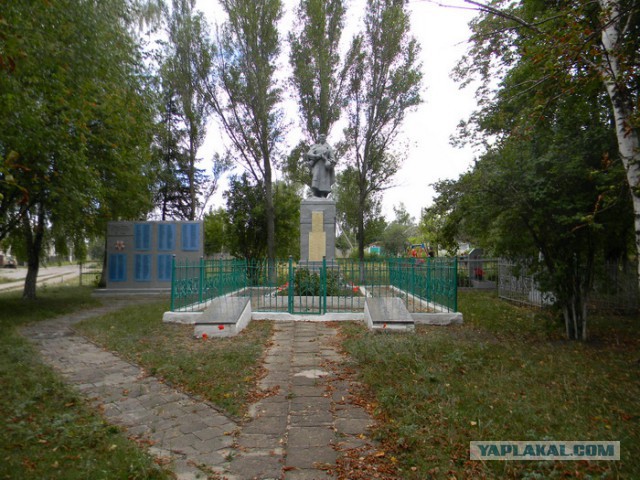 Дождались, люди добрые