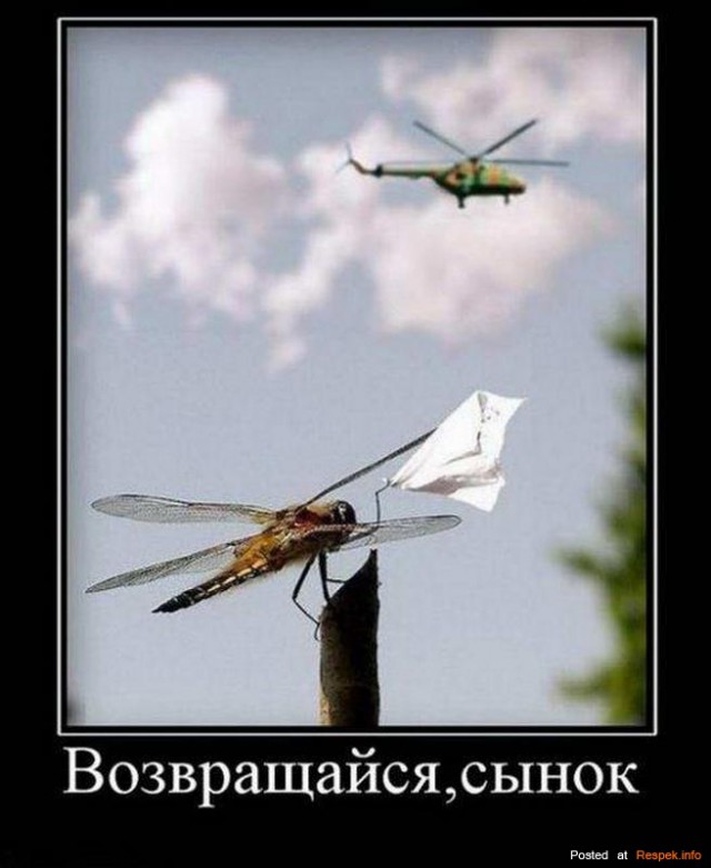 Демотиваторов пост