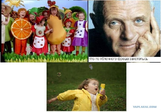 Я слива лиловая...
