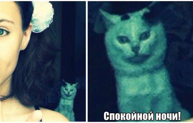 Просто картинки