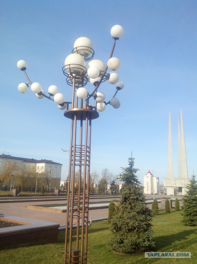 Миграция московского планктона