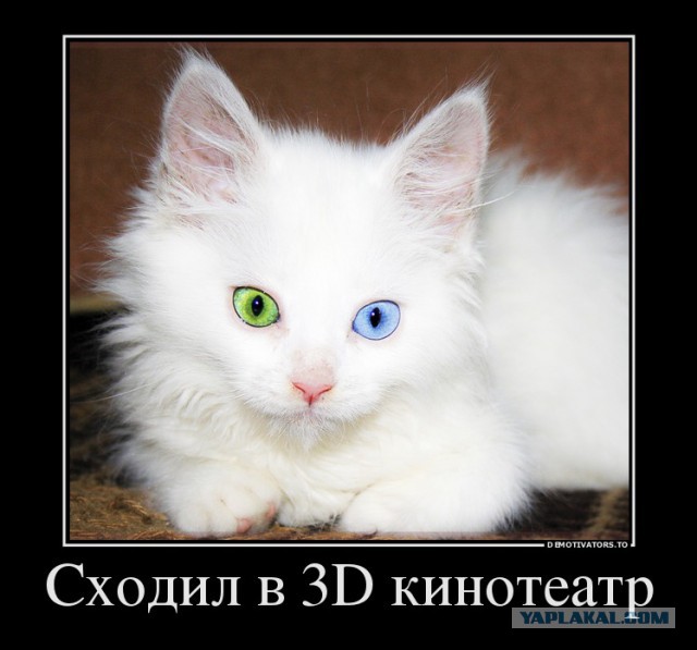 20 кадров, в которых мы невольно узнаём самих себя