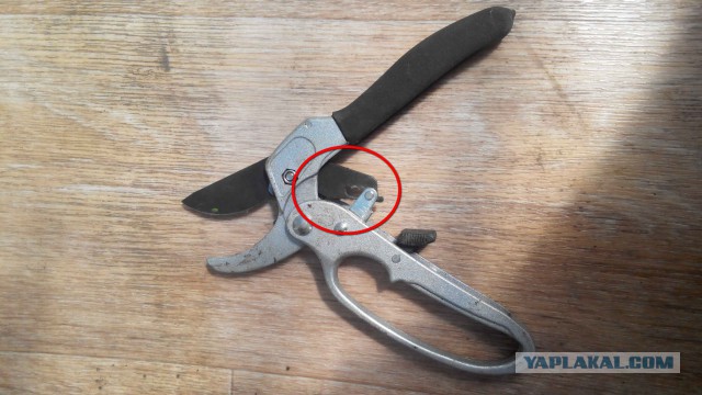 Ничего себе кусачки