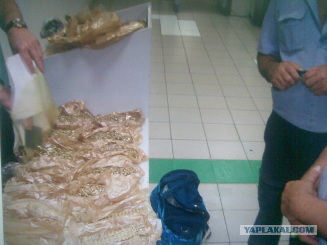 Контрабандисты