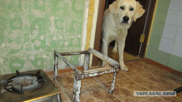 Самогоноварения пост