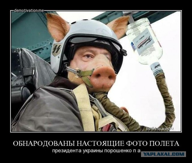 Подборка злободневных политических картинок