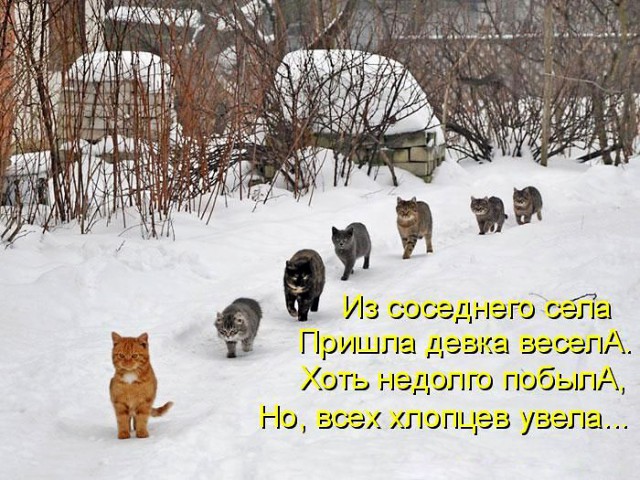 Картинки и приколы из соц.сетей и интернета