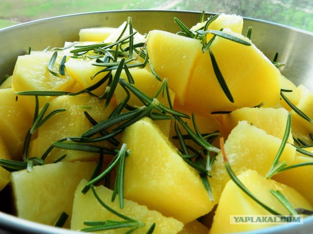 Лук