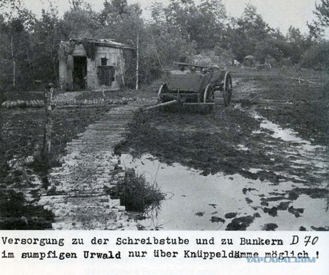 Фото с мест Волховской битвы (Вермахт)