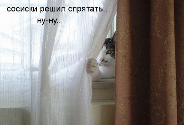 Картинки, СМСки из вашего тырнета