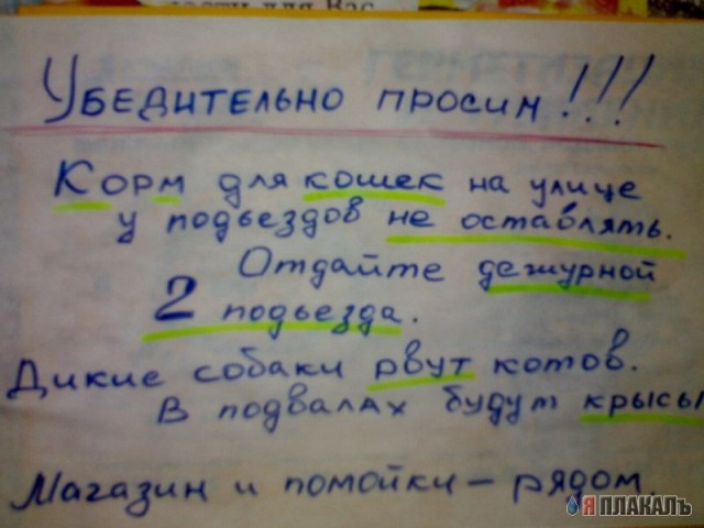 ОБЪЯВЛЕНИЯ. На стенах, в газетах, афиши.