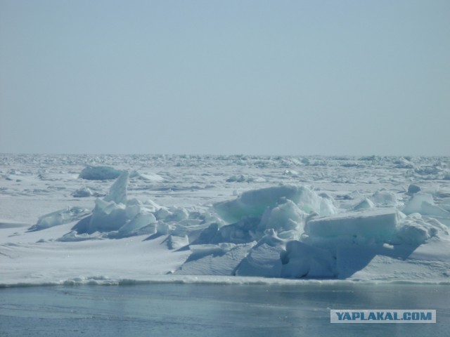 Пахари моря