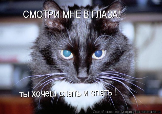 Почему вы один/одна?