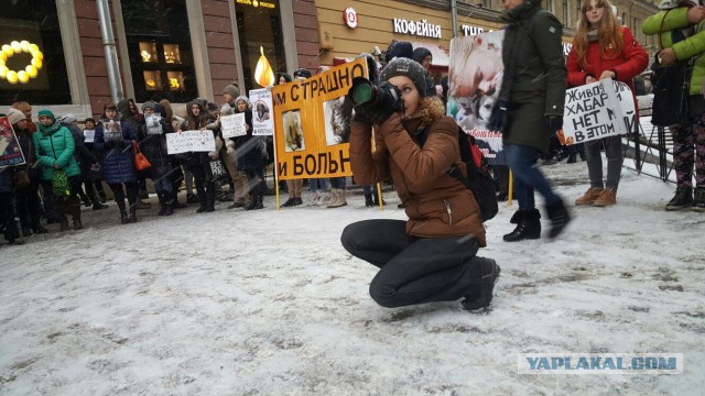 Питер против насилия