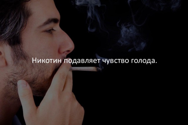 40 интересных фактов в картинках.