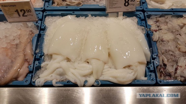 Настоящая Испания изнутри: на местный рынок за продуктами