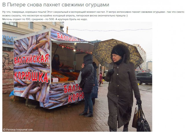 Футбол Чемпионат России 2016-17. Кубок России,РФПЛ,ФНЛ. Часть XIV