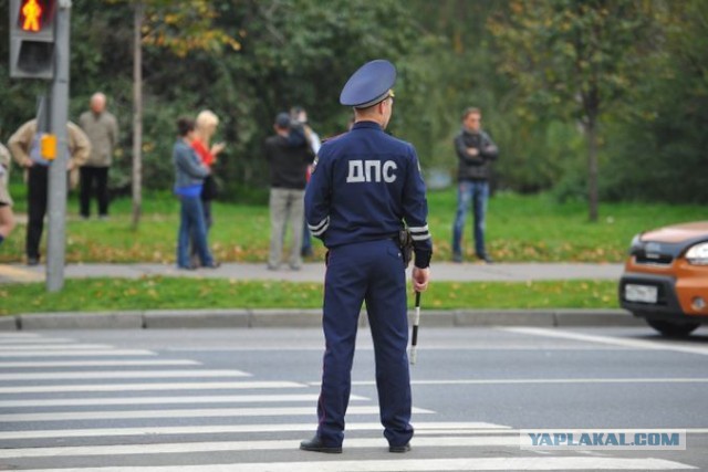 Мажор не хочет стоять в пробке и едет по встречке