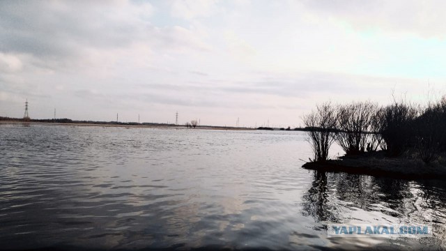 Соскучился по рыбалке