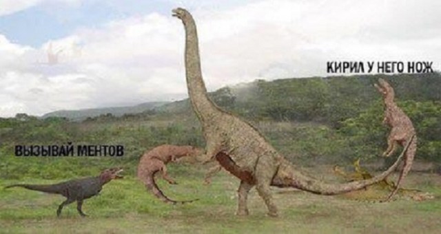 Нестандартный юмор