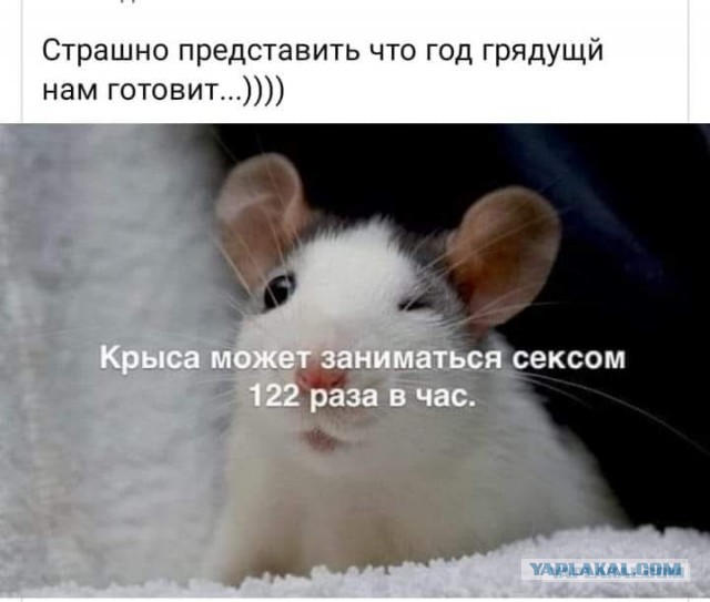 Чуток картинок! Финал в этом году
