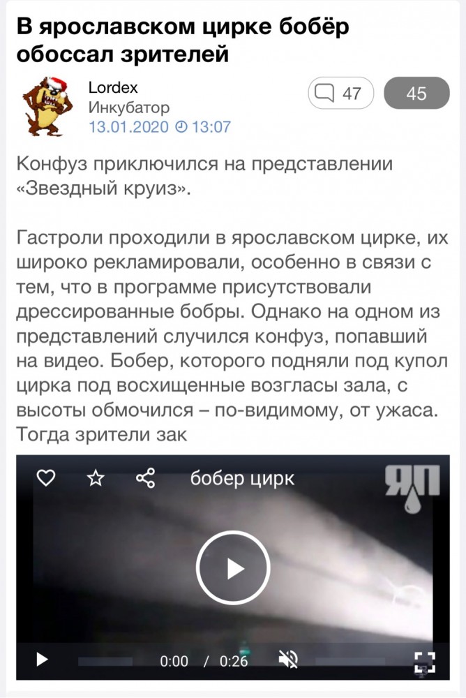 В ярославском цирке бобёр помочился на зрителей