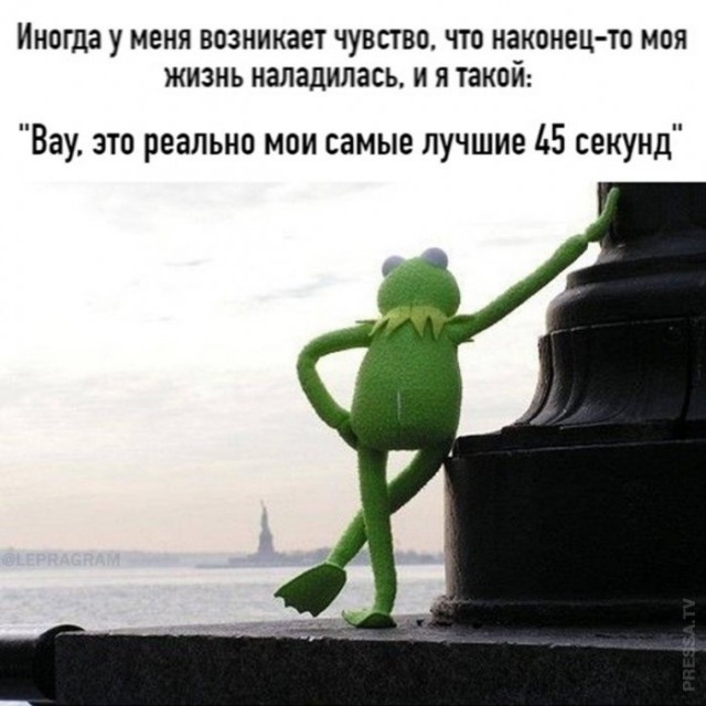 Немного картинок для настроения 12.11.20