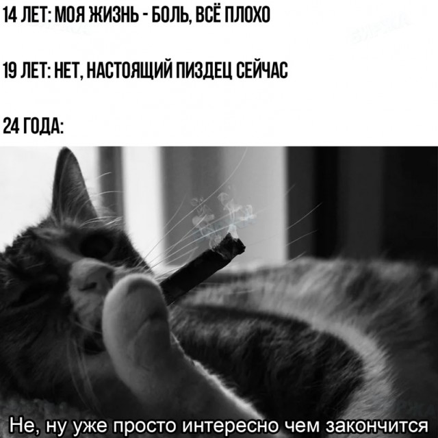 Весёлый полтишок 5.04