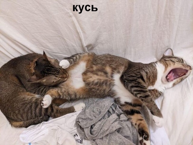 Так себе картинки 18.07.21