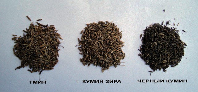 Пловские старания, ... эпическое полотно о Плове...