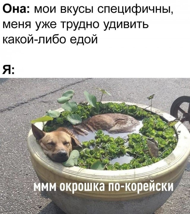 Чёрный четверг для деградантов