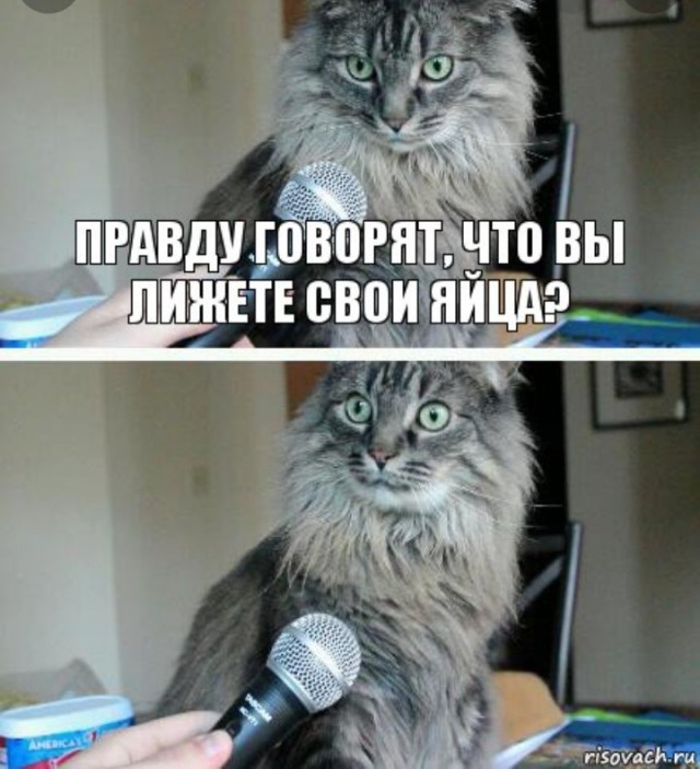 Не делает куни муж? Сделает сосед