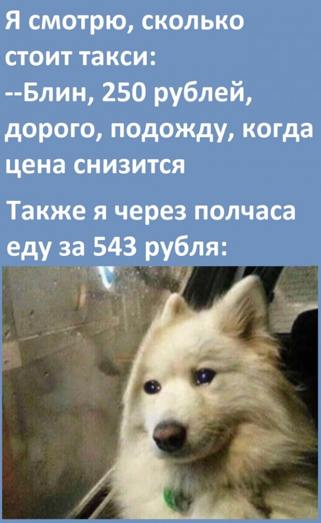 Так себе картинки 02.06.22