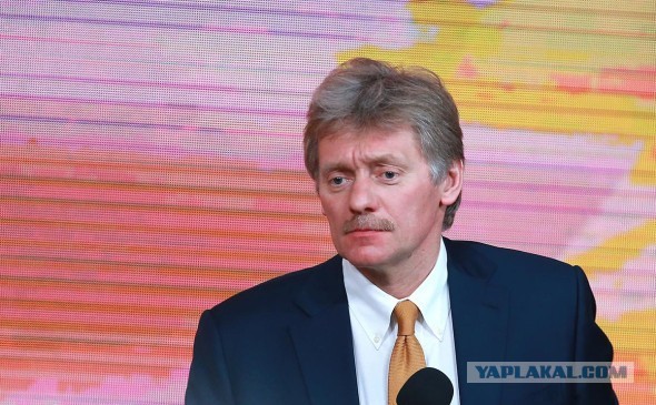 Песков назвал реакцию части общества на мобилизацию «истеричной»