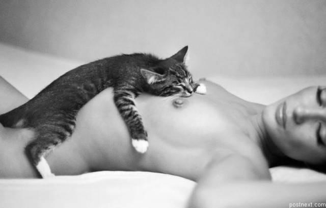 Обострение у котэ )))