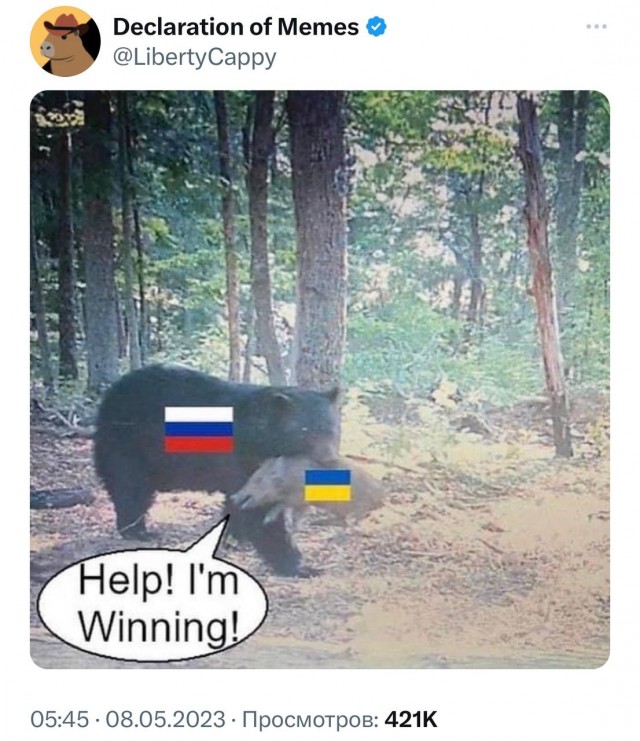 Я тёща. Проблемы с зятем. Дайте совет