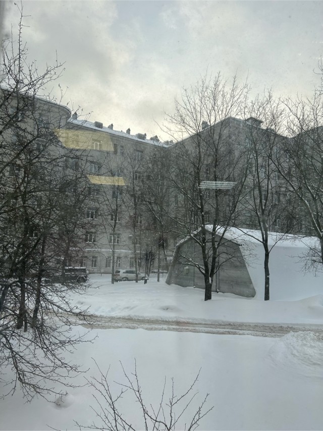 Крик души.Бабы дуры