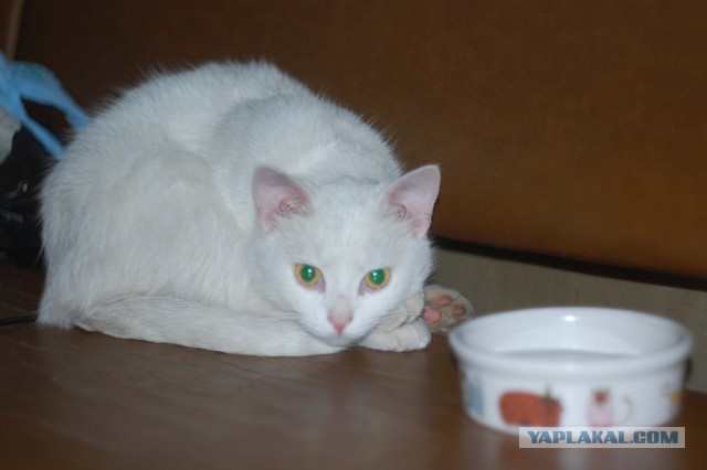 Сходил за пивом, называется...