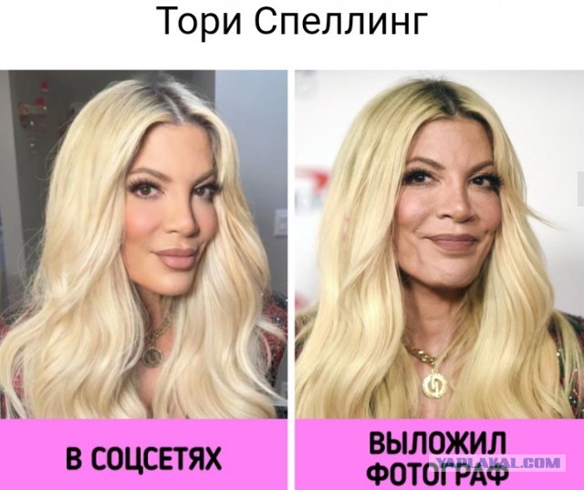 Такие разные звезды