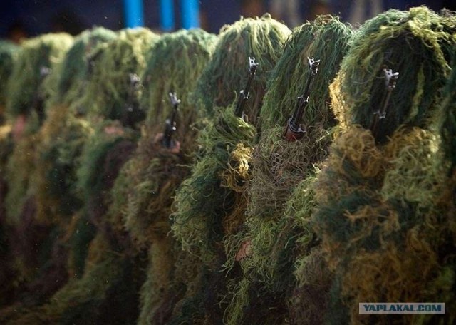 Кто шагает дружно в ряд?