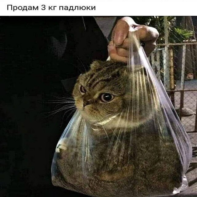 Деревенская Америка - 10