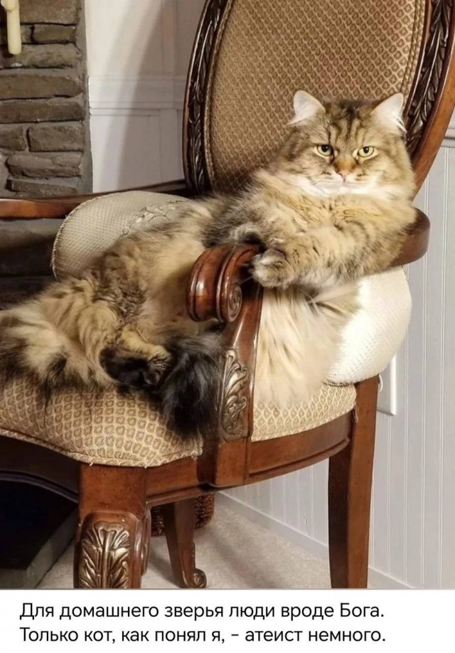 Немного позитивных фото