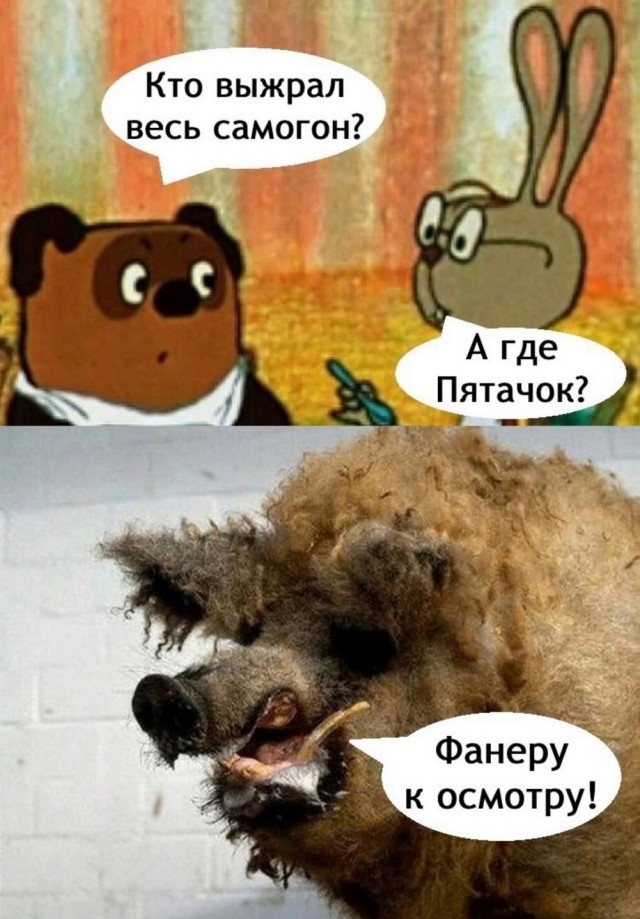 Веселые картинки в пятницу (04.07)